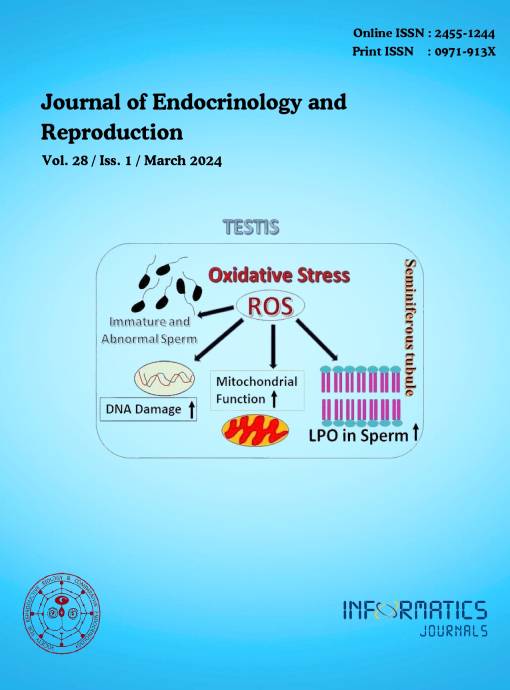 					View Volume 28, Issue 1, March 2024
				